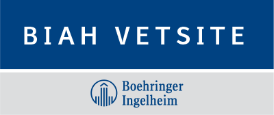 BIAH VetSite